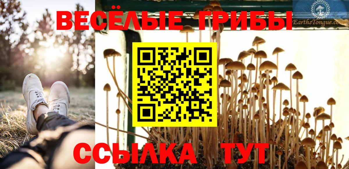 Галлюциногенные грибы GOLDEN TEACHER Копейск